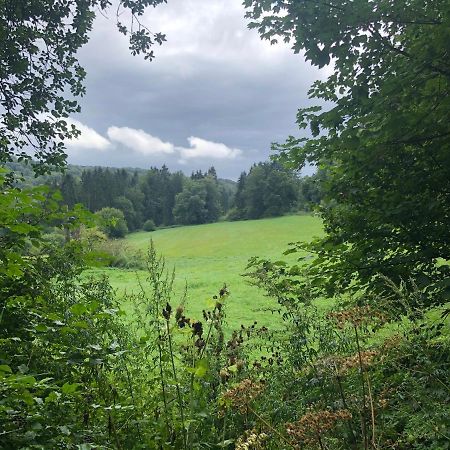 Ferienwohnung Waldruhe Hessisch Oldendorf Exteriér fotografie