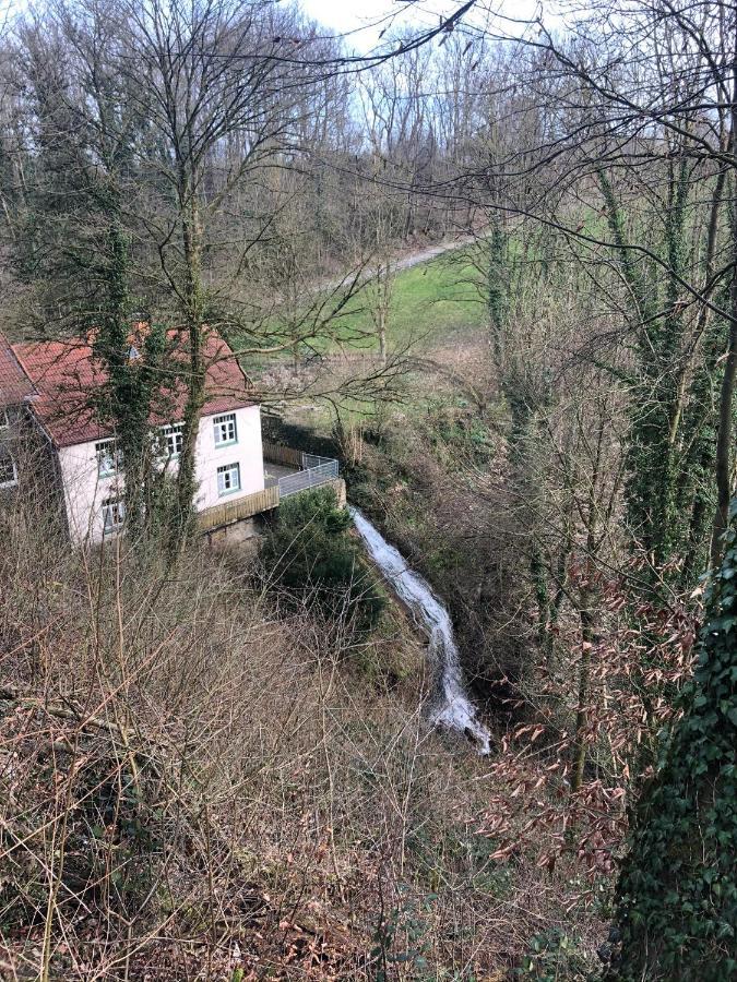 Ferienwohnung Waldruhe Hessisch Oldendorf Exteriér fotografie