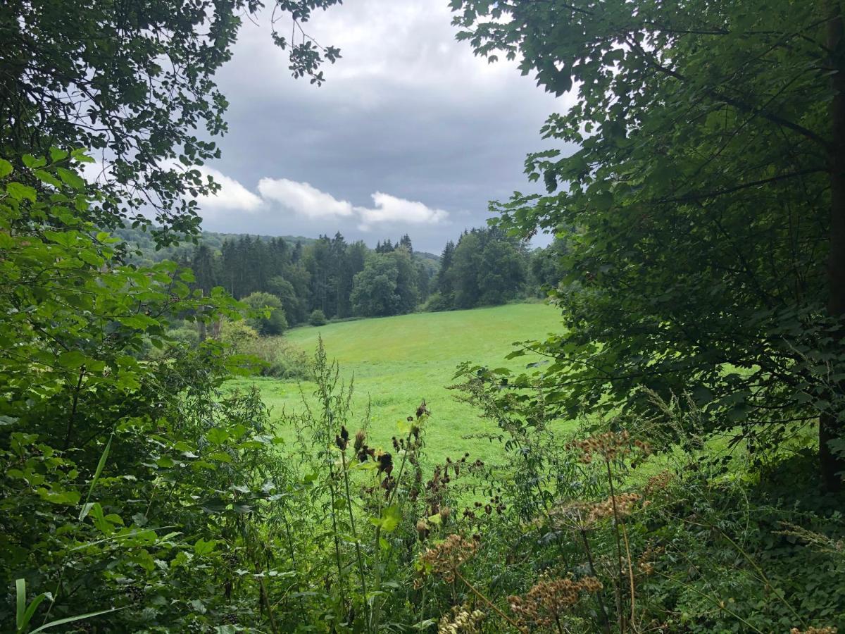 Ferienwohnung Waldruhe Hessisch Oldendorf Exteriér fotografie